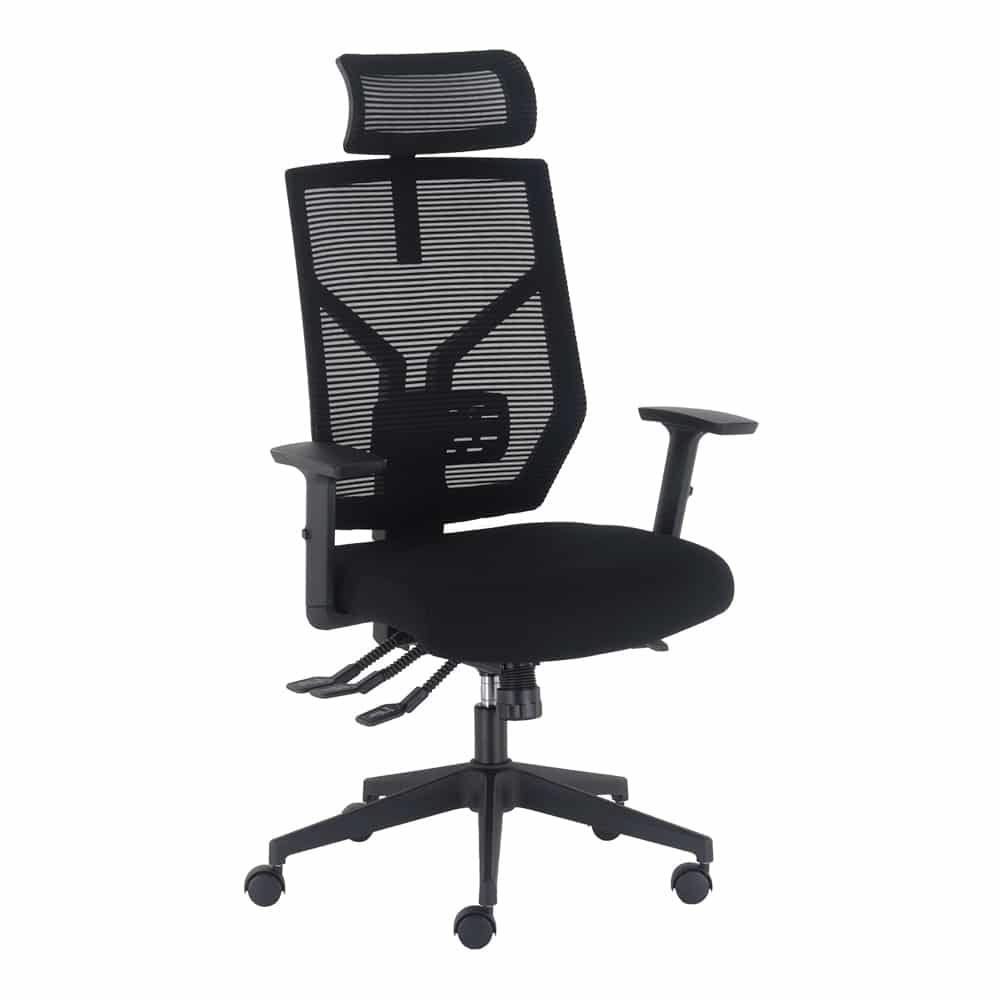 Mesh Ergo Office Chair with Headrest | Dannys Desks