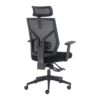 ergonomic chair with headrest