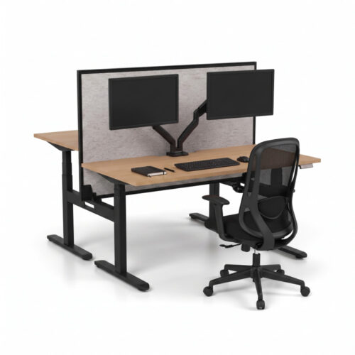 Ascend Delta 2P Height Adjustable Desk with Screen
