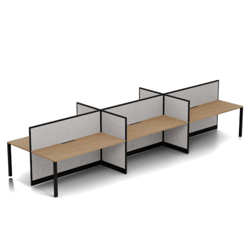 Quiet 6 Person Double Desk