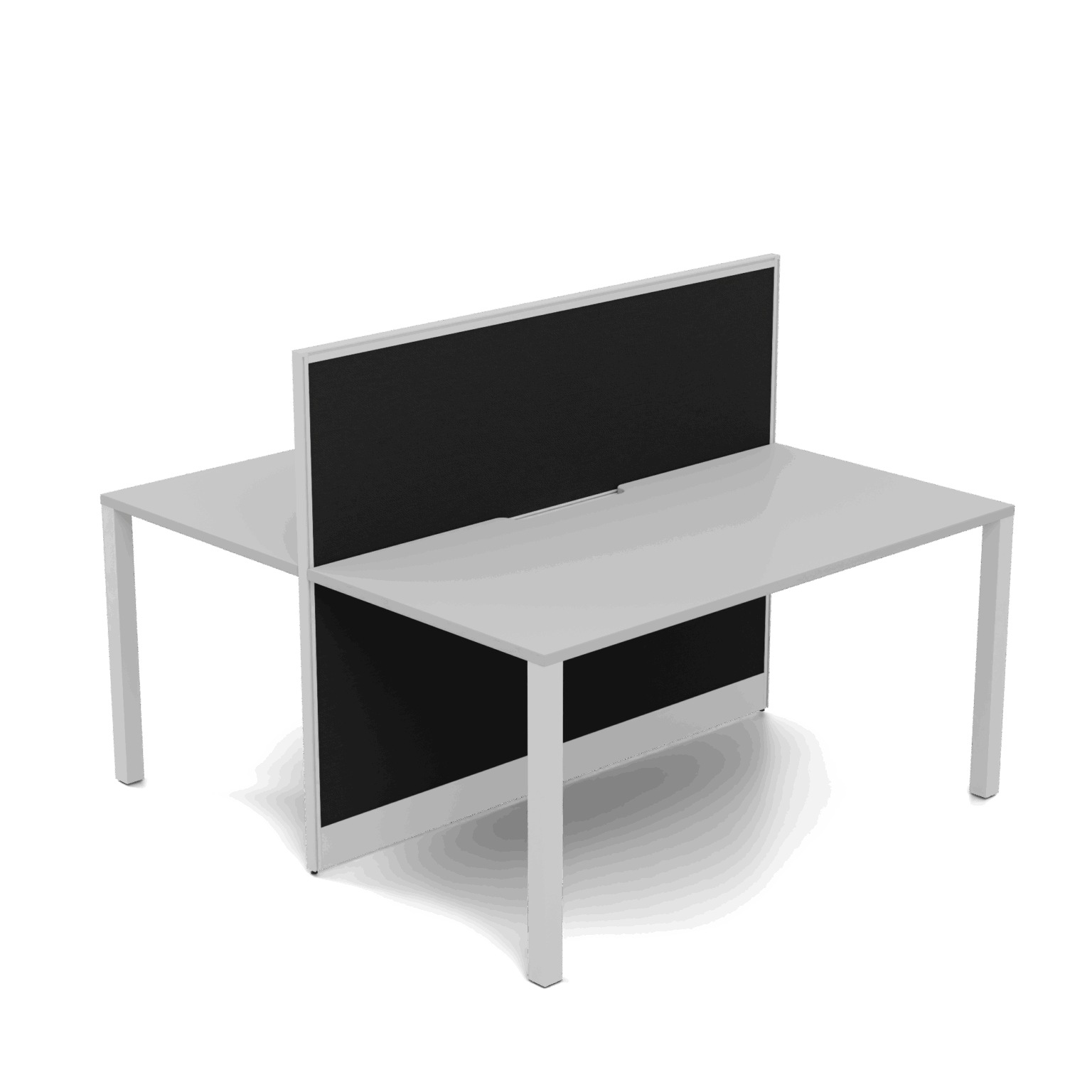 Quiet 2 Person Double Desk