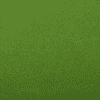 Kiwi - Ashcroft