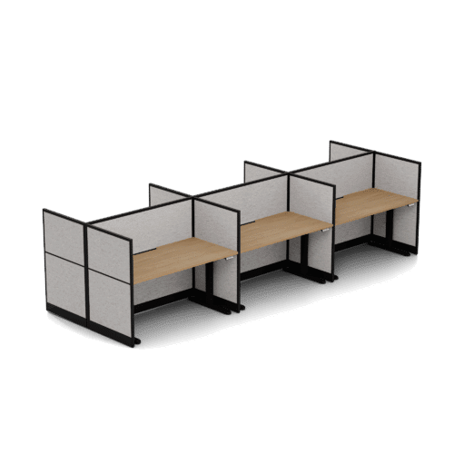 Quiet 6 Person Double Desk + End Screens + Ascend Frames