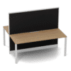 Quiet 2 Person Double Desk