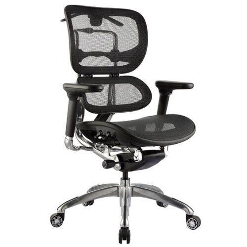 Ergo Low Back Executive Chair
