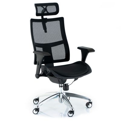 Whistle Executive Office Chair