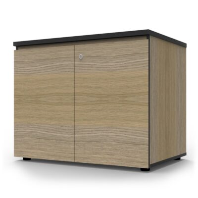 Avenger Swing Door Cupboard