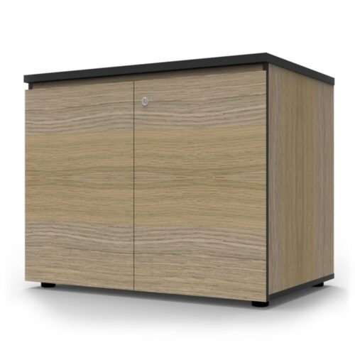 Avenger Swing Door Cupboard
