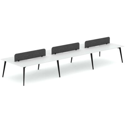 Enzo 6P Double Sided Desk (With Screen)