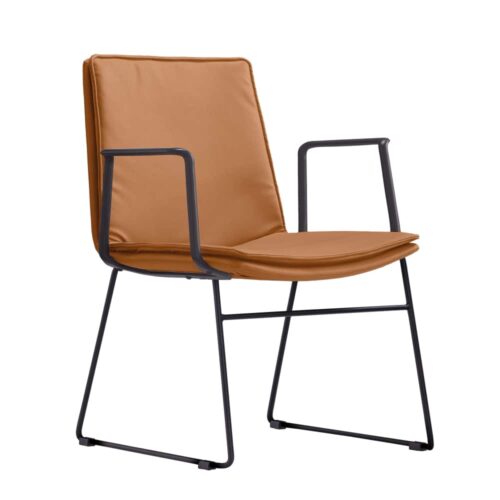 Evolve Sled Visitors Chair