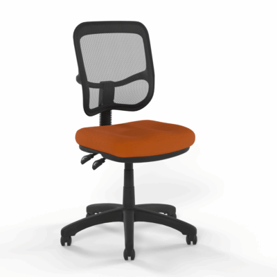 Agnes Task Chair