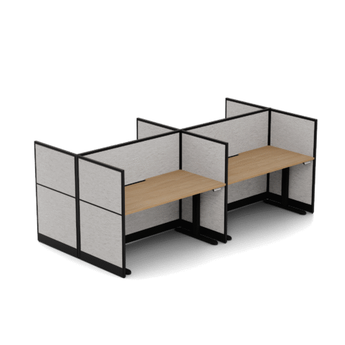 Quiet Height Adjustable 4 Person Double Desk + End Screens