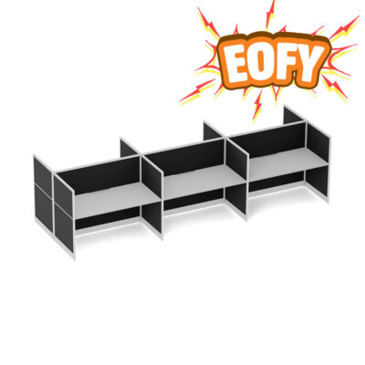Quiet 6 Person Double Desk + End Screens