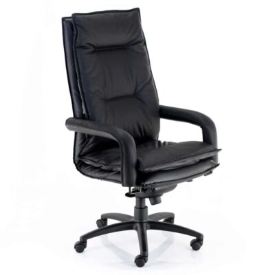 Lucius Executive Chair