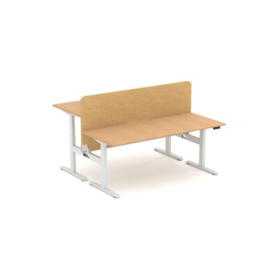 Ascend 2P Height Adjustable Desk With Mid Mount Zorba Screens