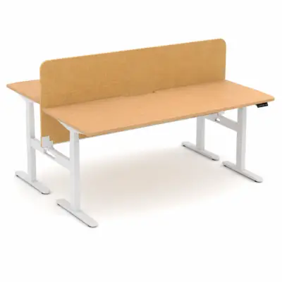 Ascend 2P Height Adjustable Desk With Mid Mount Zorba Screens