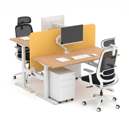 Ascend 2P Height Adjustable Desk With Mid Mount Zorba Screens