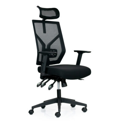 Mesh Ergo Office Chair with Headrest