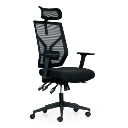 Mesh Ergo Office Chair with Headrest